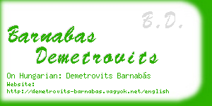 barnabas demetrovits business card